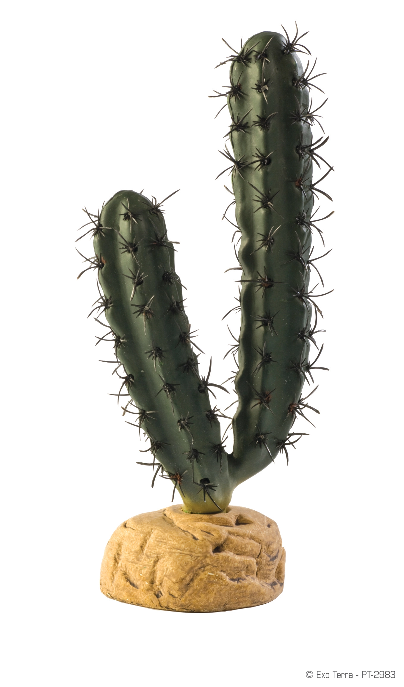 Exo Terra Finger Kaktus